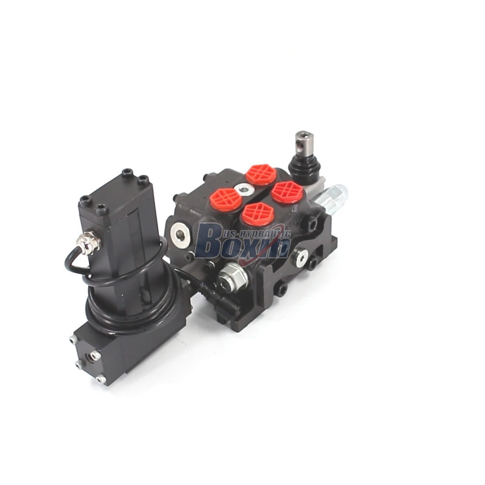 Electric Motor Control DCV60 Sectional Valve 1 Spool Configuration cover photo